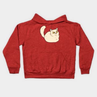 AN ABSOLUTE UNIT OF A CAT Kids Hoodie